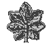 o5.gif (1397 bytes)